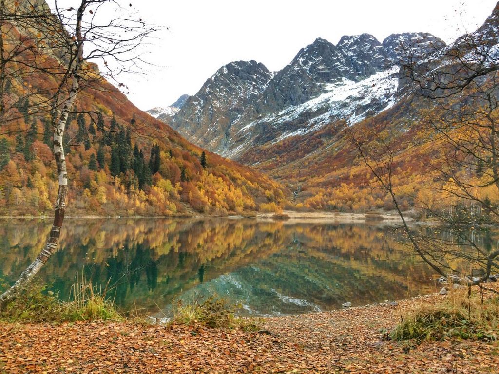 Красная Поляна Кардывач